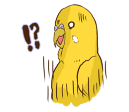 true parrots.2 sticker #10370995