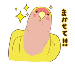 true parrots.2 sticker #10370997