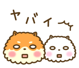 Pomeranian's words of praise sticker #10371577