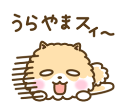 Pomeranian's words of praise sticker #10371584