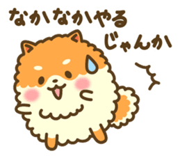 Pomeranian's words of praise sticker #10371596