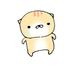 Cat large set sticker #10371865