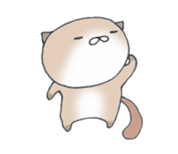 Cat large set sticker #10371870