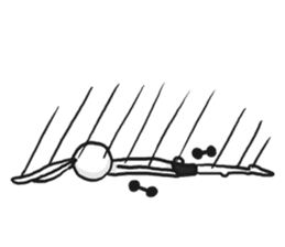 UsaMuscle sticker #10373419