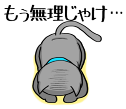 Surly cat OnoNyanko sticker #10375301