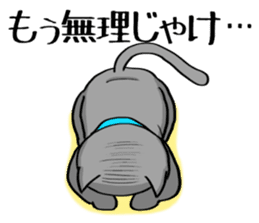 Surly cat OnoNyanko sticker #10375301