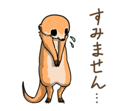 Meerkat! sticker #10375554