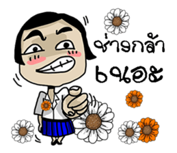 Korat 15 sticker #10375631