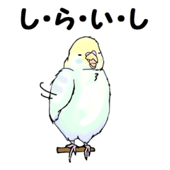 The sticker sent to the Shiraishi