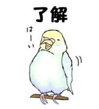 The sticker sent to the Shiraishi sticker #10375920