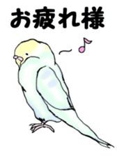 The sticker sent to the Shiraishi sticker #10375922