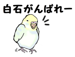 The sticker sent to the Shiraishi sticker #10375923