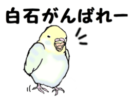 The sticker sent to the Shiraishi sticker #10375923