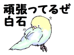 The sticker sent to the Shiraishi sticker #10375928