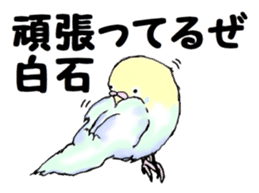 The sticker sent to the Shiraishi sticker #10375928