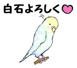 The sticker sent to the Shiraishi sticker #10375934