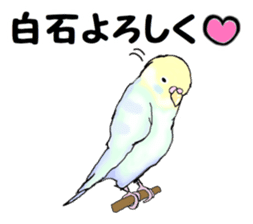 The sticker sent to the Shiraishi sticker #10375934