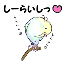 The sticker sent to the Shiraishi sticker #10375935