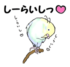 The sticker sent to the Shiraishi sticker #10375935