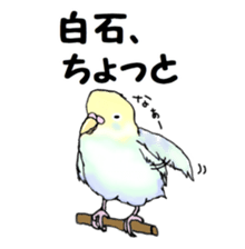 The sticker sent to the Shiraishi sticker #10375941