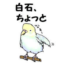 The sticker sent to the Shiraishi sticker #10375941