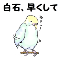 The sticker sent to the Shiraishi sticker #10375942