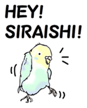 The sticker sent to the Shiraishi sticker #10375943