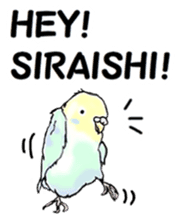 The sticker sent to the Shiraishi sticker #10375943