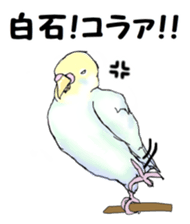 The sticker sent to the Shiraishi sticker #10375954