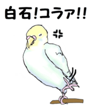 The sticker sent to the Shiraishi sticker #10375954