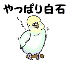 The sticker sent to the Shiraishi sticker #10375959