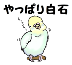 The sticker sent to the Shiraishi sticker #10375959