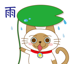 "siamta" of siamese cat 2nd sticker #10377766