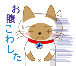 "siamta" of siamese cat 2nd sticker #10377771