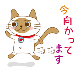 "siamta" of siamese cat 2nd sticker #10377774
