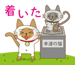 "siamta" of siamese cat 2nd sticker #10377775