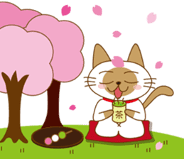 "siamta" of siamese cat 2nd sticker #10377782