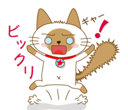 "siamta" of siamese cat 2nd sticker #10377797