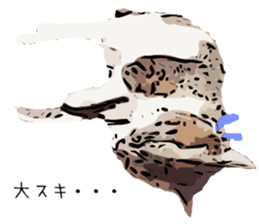 Cat Cat  Cat sticker #10378923