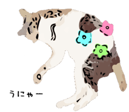 Cat Cat  Cat sticker #10378925