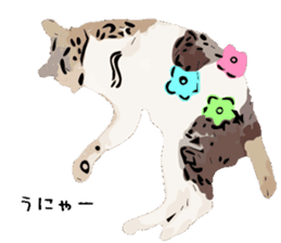 Cat Cat  Cat sticker #10378925