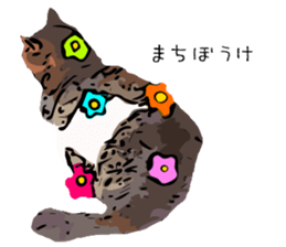 Cat Cat  Cat sticker #10378926