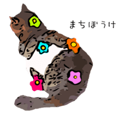 Cat Cat  Cat sticker #10378926