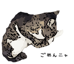 Cat Cat  Cat sticker #10378937