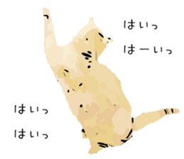 Cat Cat  Cat sticker #10378944