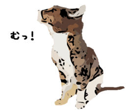 Cat Cat  Cat sticker #10378948