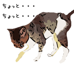 Cat Cat  Cat sticker #10378950