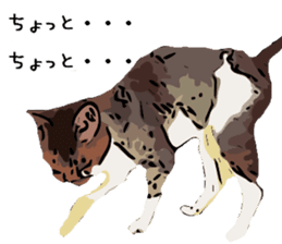 Cat Cat  Cat sticker #10378950