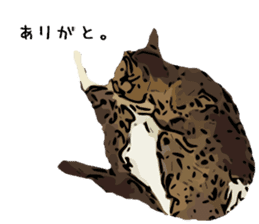 Cat Cat  Cat sticker #10378954