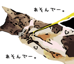 Cat Cat  Cat sticker #10378956